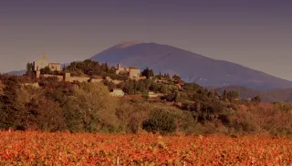 Verrukkelijke Cairanne