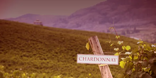 Chardonnay Wijnpakket