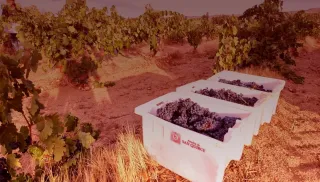 Verrukkelijke Ribera del Duero