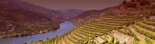 Douro