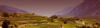 Valais