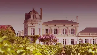 Elegante Moulis en Médoc