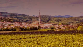 Verfrissende Soave Classico