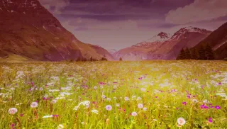 Fraaie Vin de Savoie