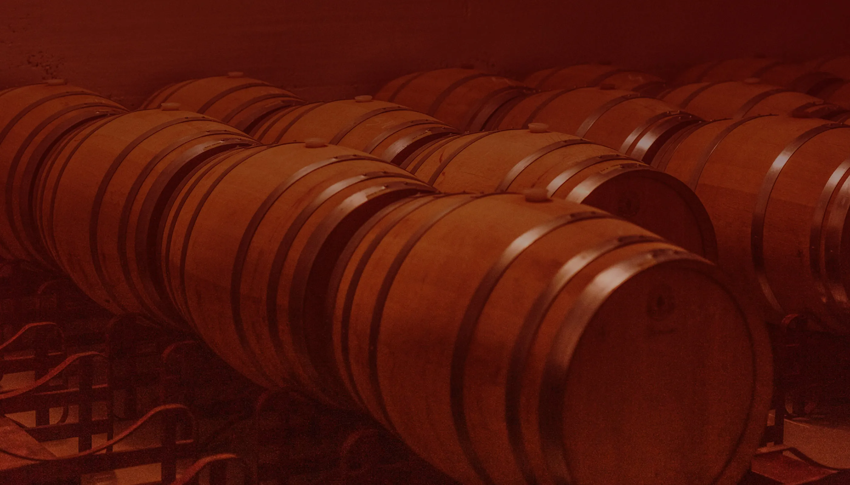 Krachtige Rioja Singular