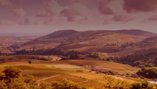 Charmante Saint-Amour