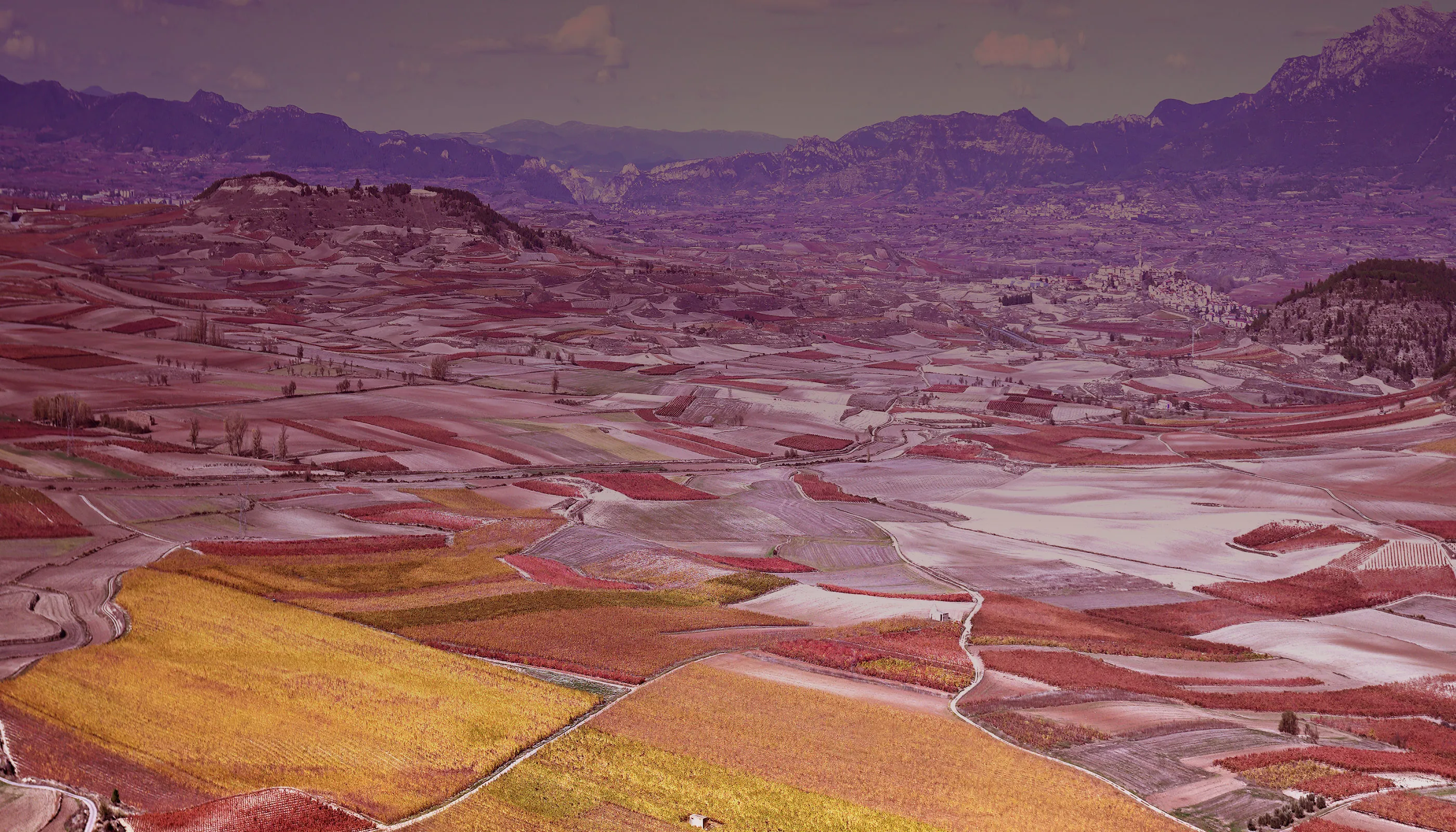 Karaktervolle Rioja Crianza