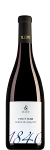 Alto Adige Pinot Noir