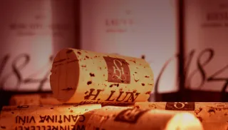 Frisse Chardonnay uit Alto-Adige