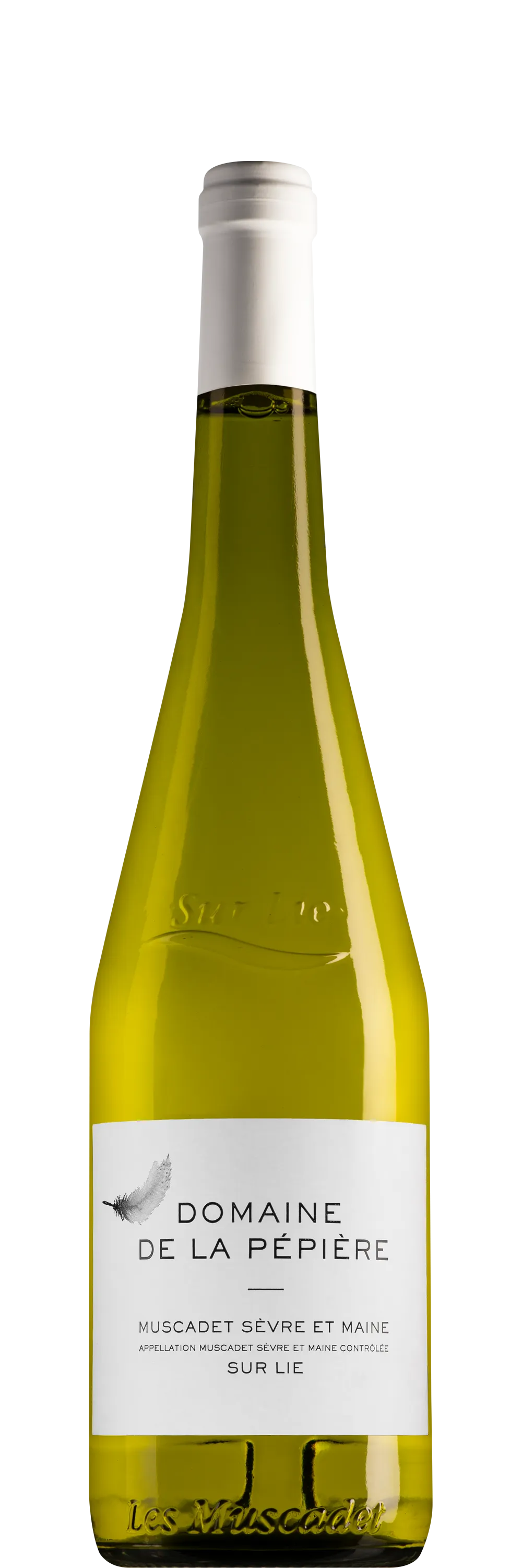 Muscadet Sèvre et Maine sur lie